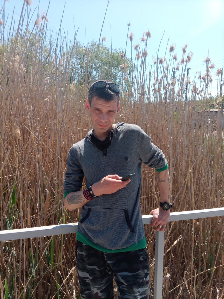 ���� 33093573 ������� ����, 44 ����, ���� ���������� � ���������