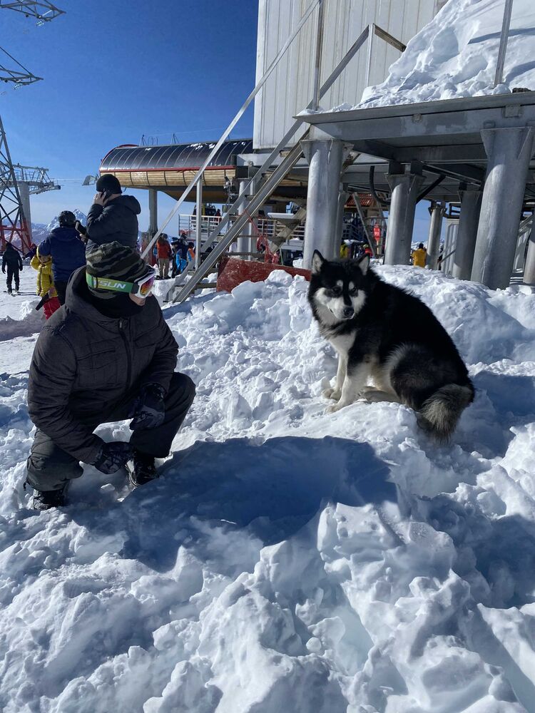 ���� 22921523 ������� ������, 35 ���, ���� ���������� � �������