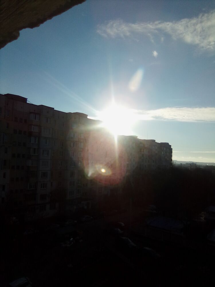 ���������� �����������, ���� ����� �������, 20 ���, ������������ ��� ������, ����� � ���������