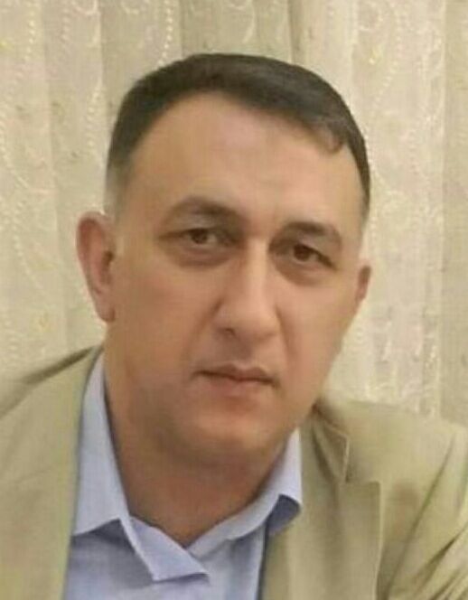  ,   Al, 55 ,   ,   