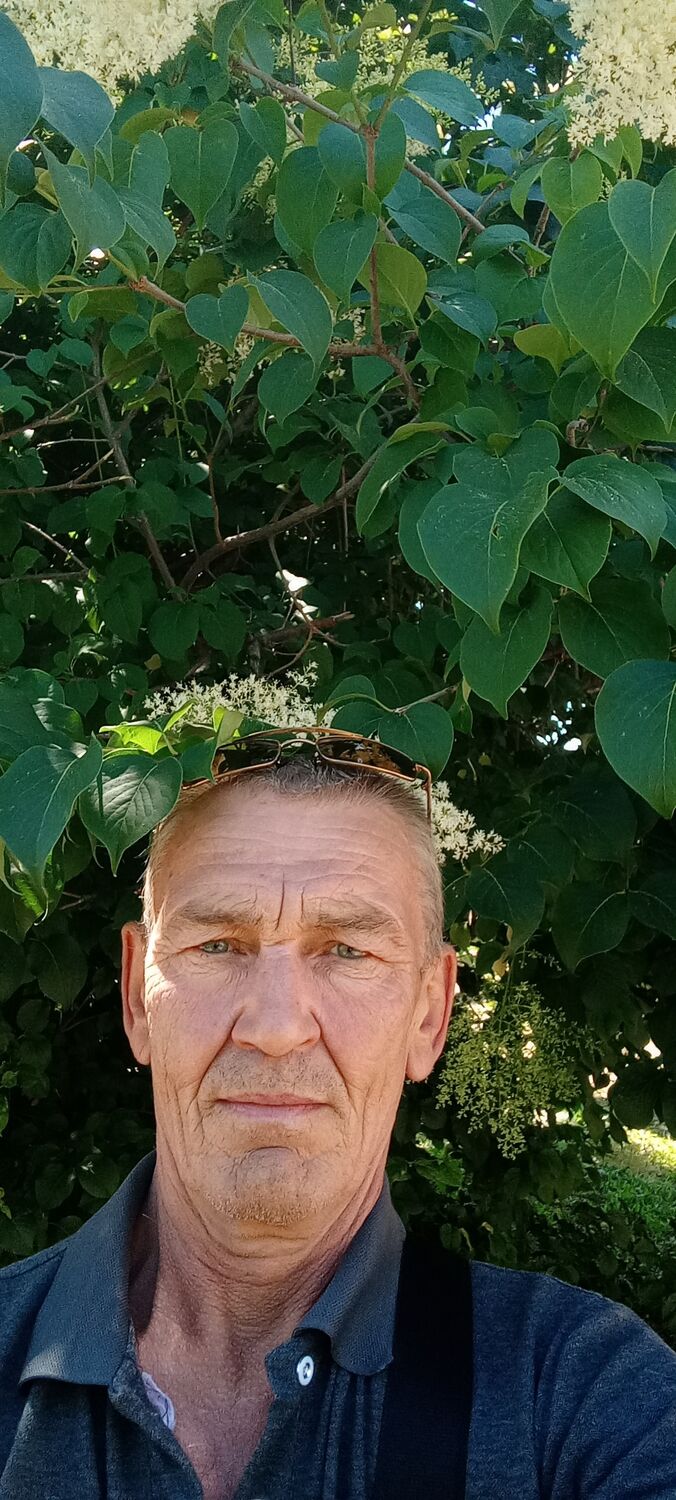  ,   , 54 ,   ,   