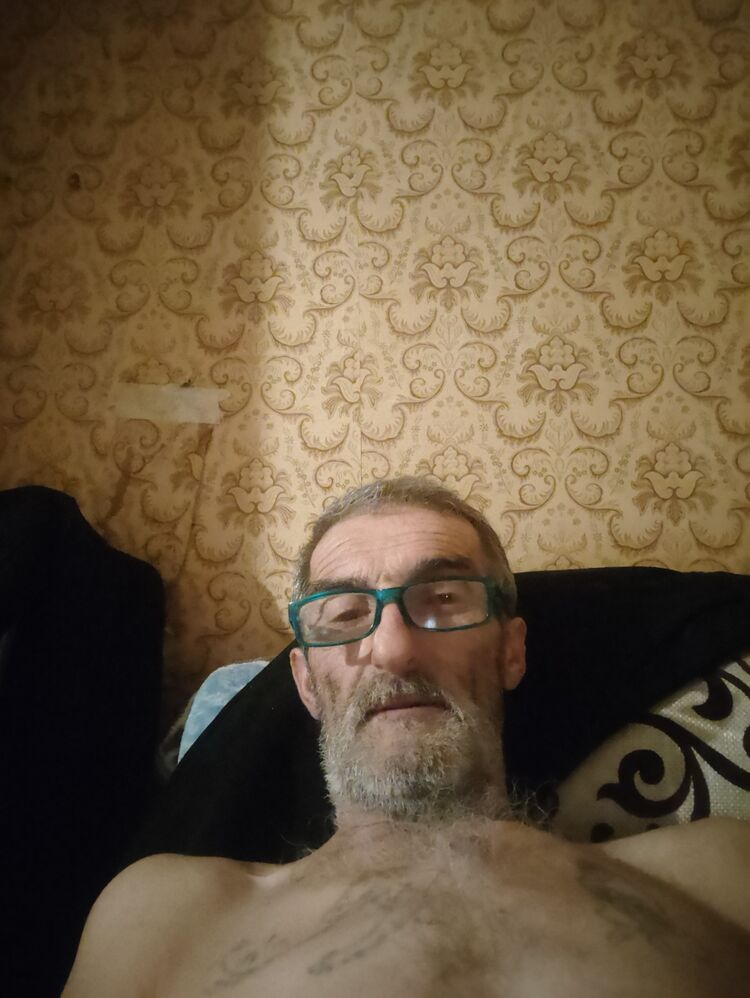  50175893  , 65 ,    