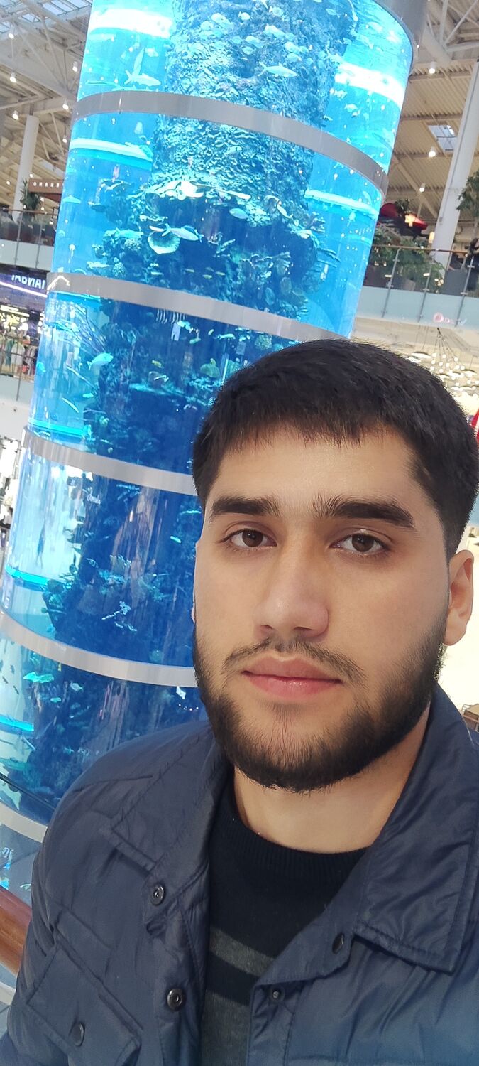  53730663  , 25 ,    