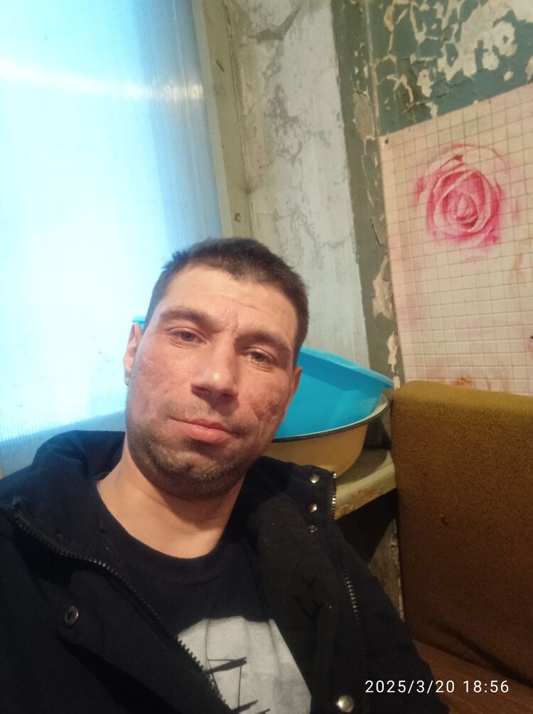  50376603  , 36 ,    