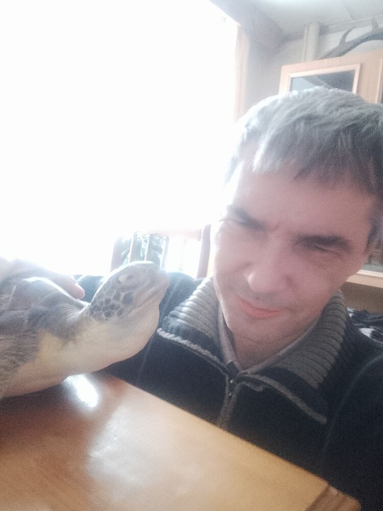 ���������� ������������, ���� ������� �����, 49 ���, ������������ ��� ������, ����� � ���������, c�������� ���������, ���������