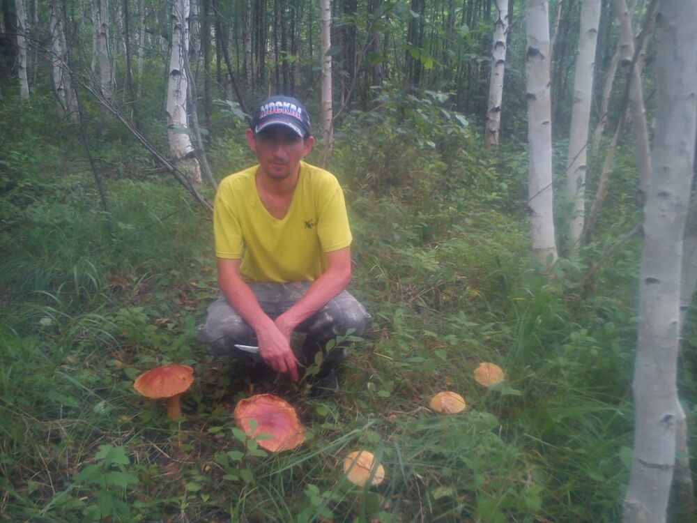 ���� 5259853 ������� ������, 41 ���, ���� ���������� � ����������