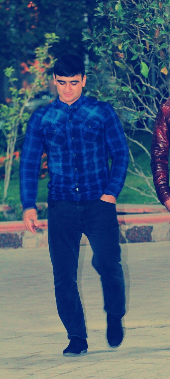  33799833  , 29 ,    