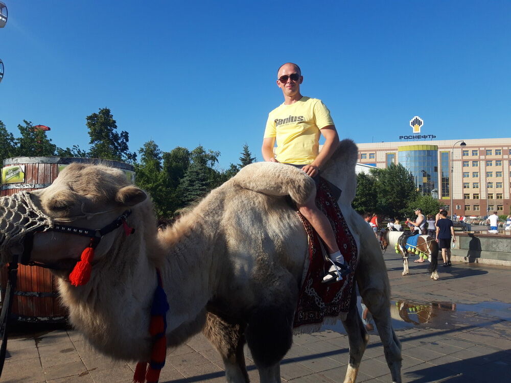 ���������� ������, ���� ������� �������, 36 ���, ������������ ��� ������, ����� � ���������, c�������� ���������