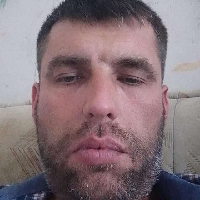  45796243  , 43 ,    