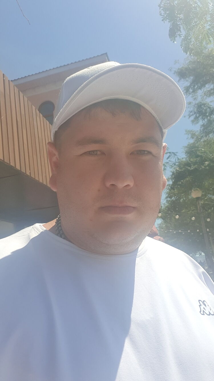  45648573  , 31 ,    