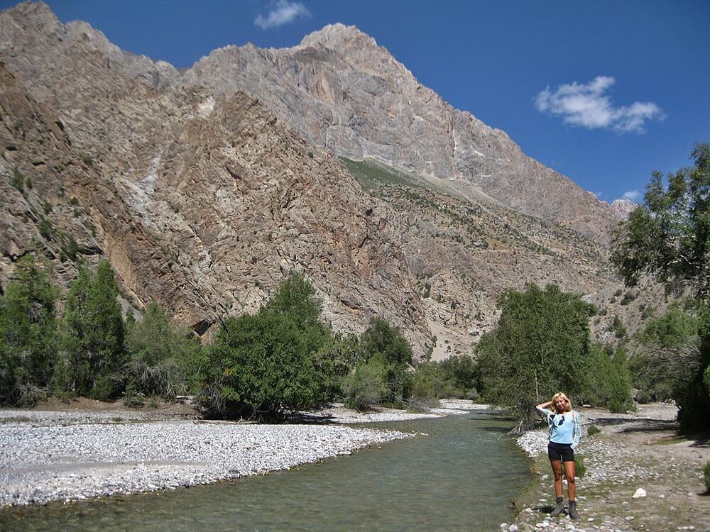 ���� 5036243 ������� �����, 40 ���, ���� ���������� � ����������