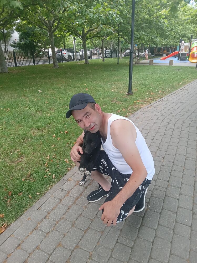  37832683  , 40 ,    