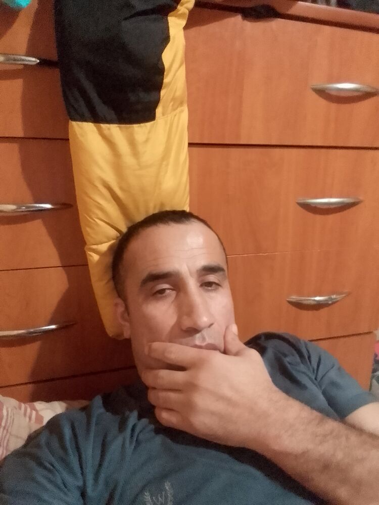  48820273  , 40 ,    