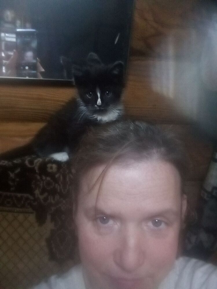 ���������� �����-���������, ���� ������� �����, 46 ���, ������������ ��� ������, c�������� ���������, ���������