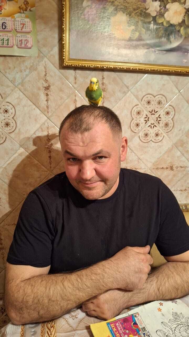  ,   , 44 ,  