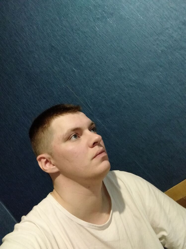  34228183  , 28 ,    