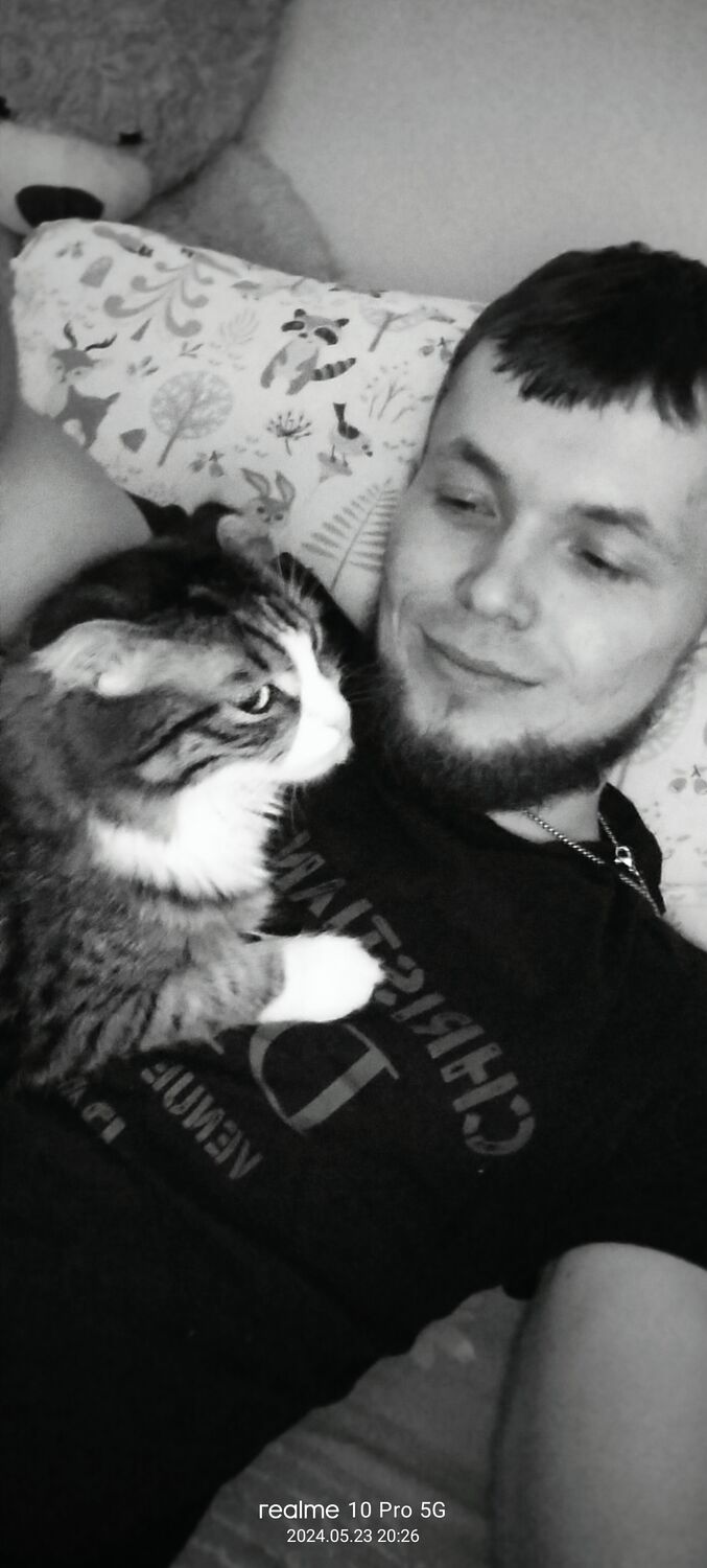 ���� 43389843 ����� ��, 23 ����, ���� ���������� � �������