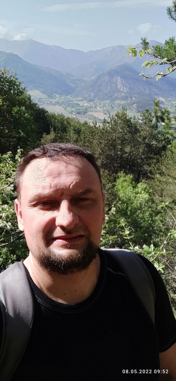  36629353  , 51 ,    -