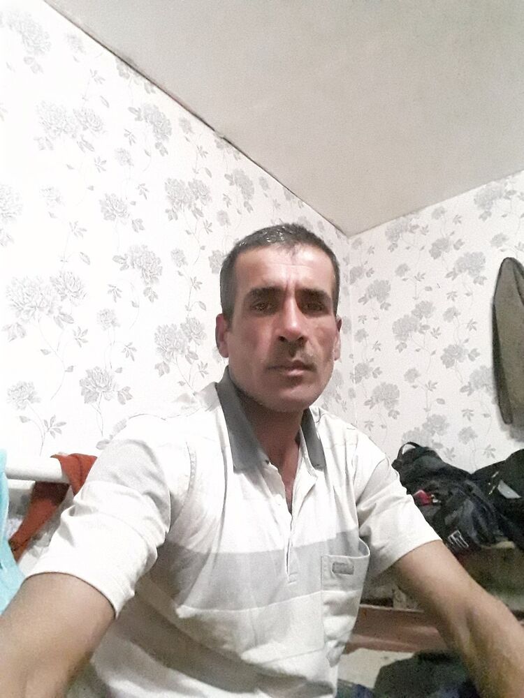  18238233  , 49 ,    