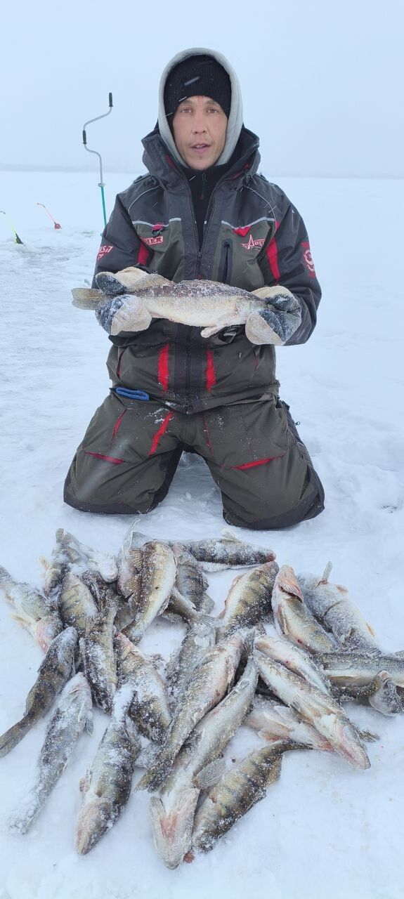 ���� 55037573 ������� �������, 32 ����, ���� ���������� � ����������