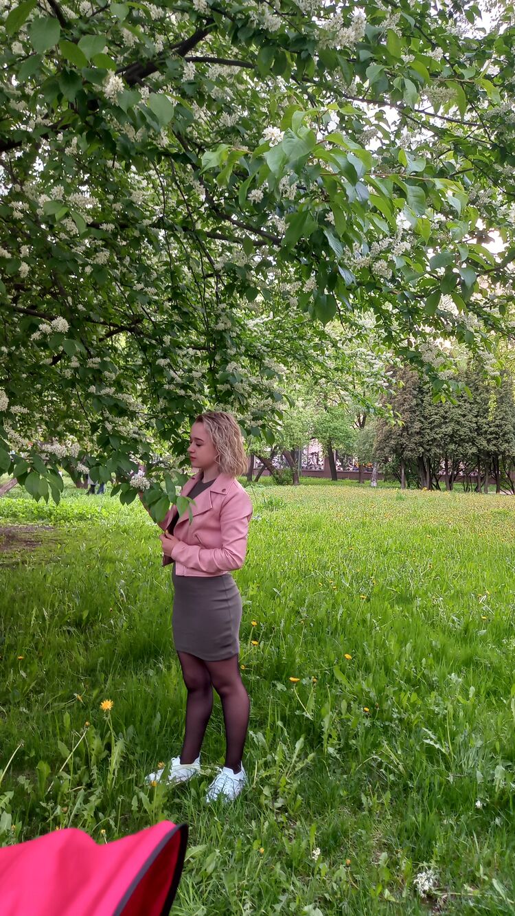  26814653  , 21 ,    -