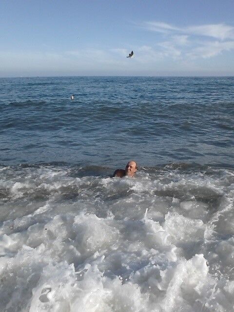 ���� 8312583 ������� �������, 54 ����, ���� ���������� � �����������