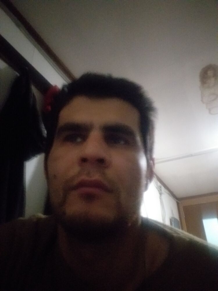  31167273  , 34 ,    -