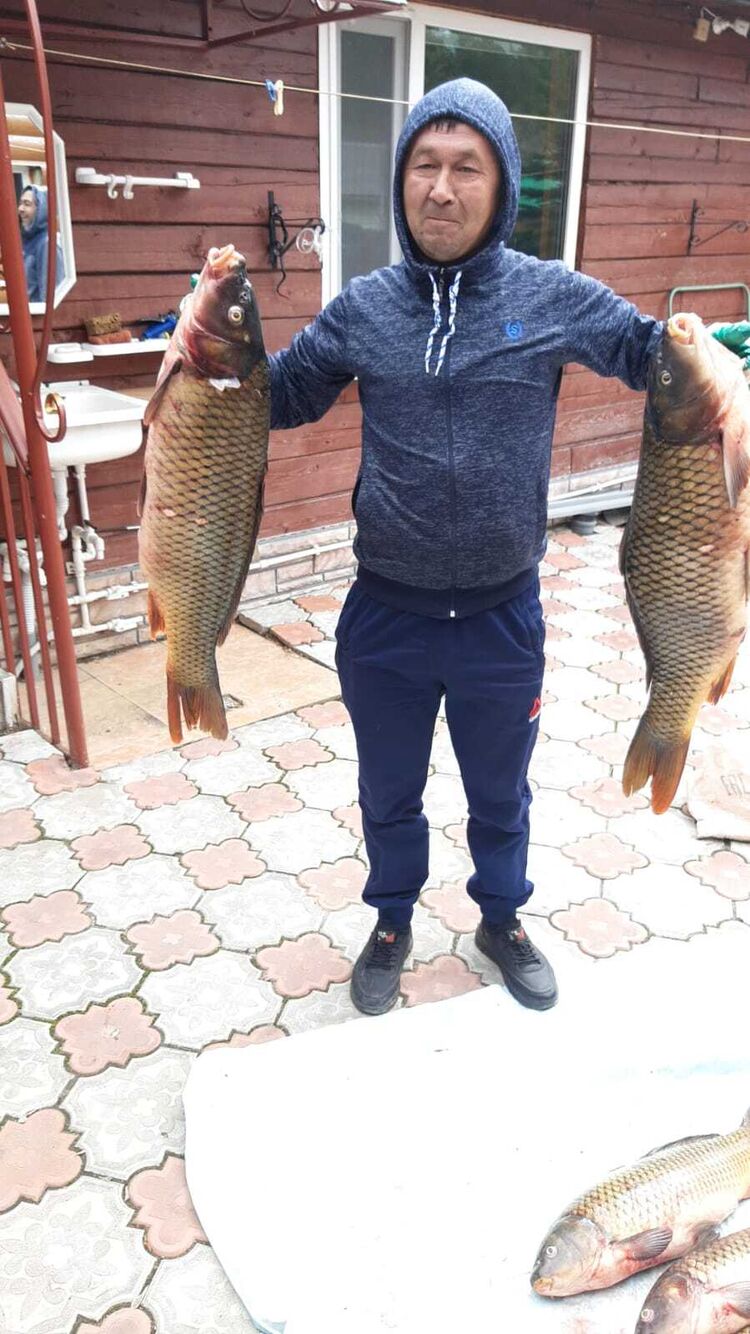 ���� 30965623 ������� ������, 42 ����, ���� ���������� � ������