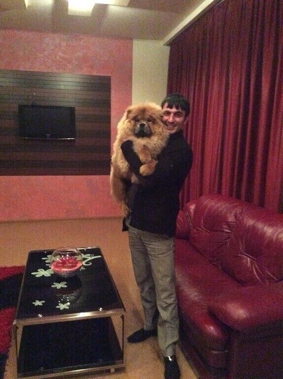 ���� 47322913 ������� ����, 41 ���, ���� ���������� � ������