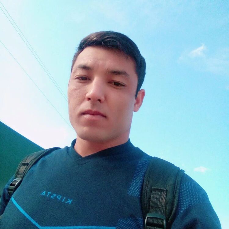  38041323  , 25 ,    