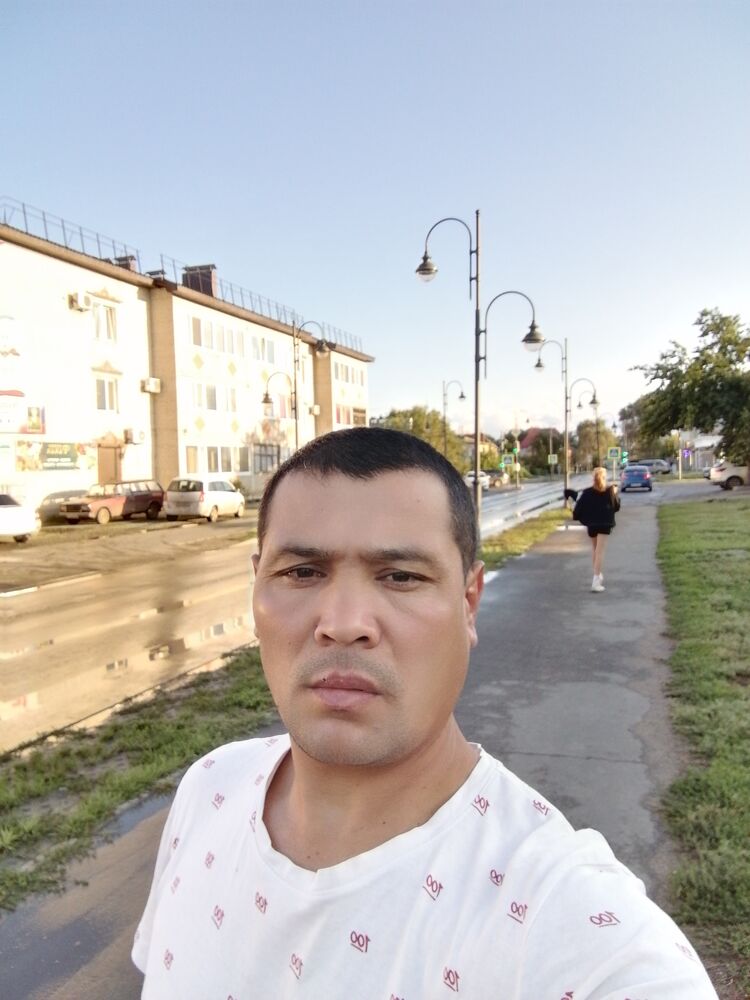  45581753  , 41 ,    -
