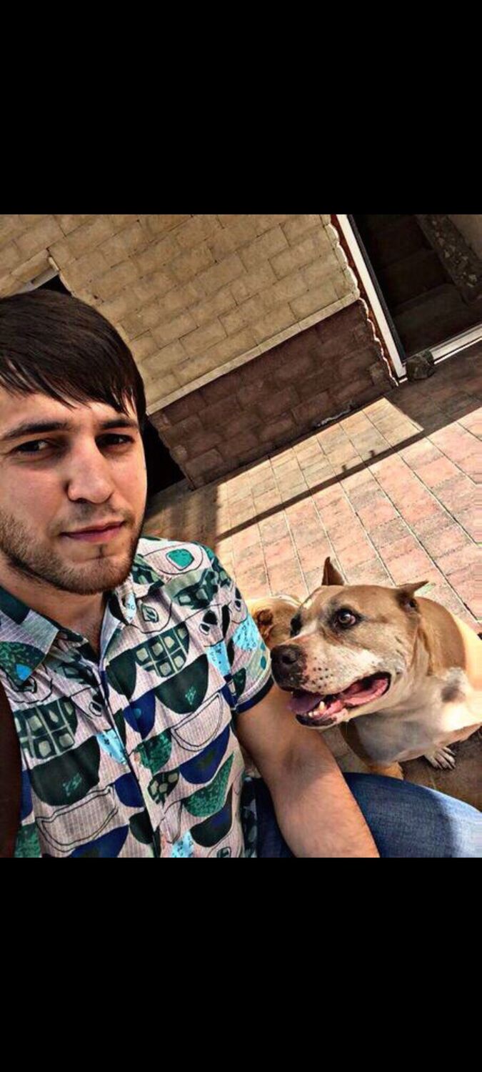  36596173  Arsen, 33 ,    