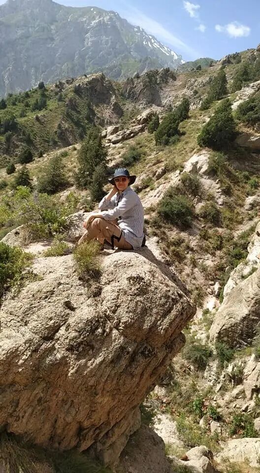  53998923  Bast, 41 ,    