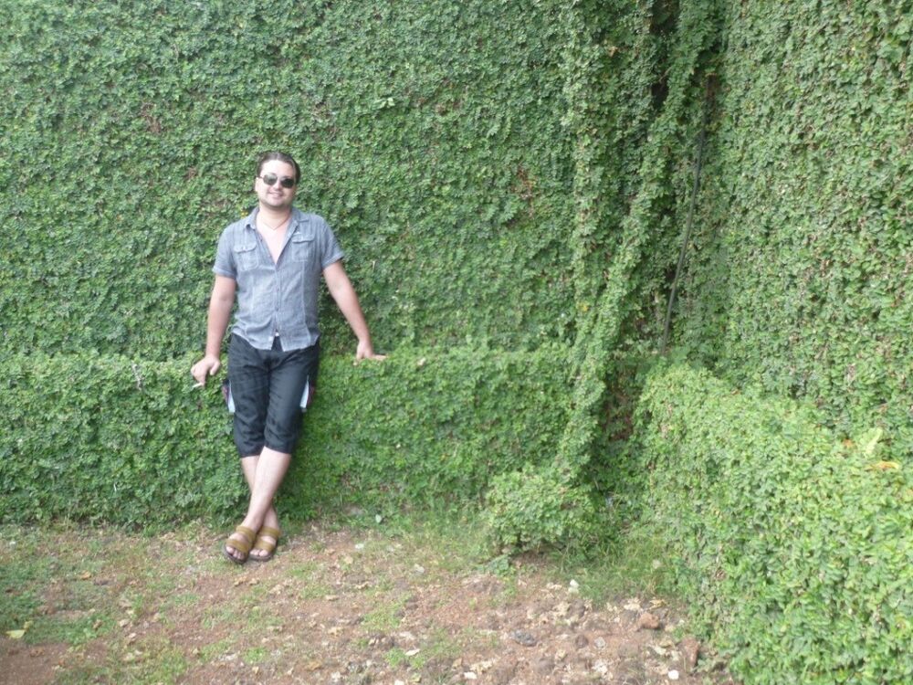 ���� 4223643 ������� �����, 40 ���, ���� ���������� � ���