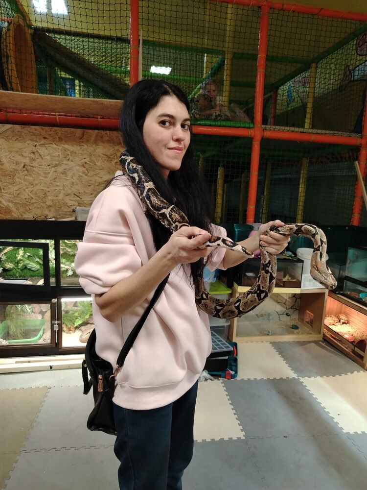 ���������� �����, ���� ������� �������, 35 ���, ������������ ��� ���������