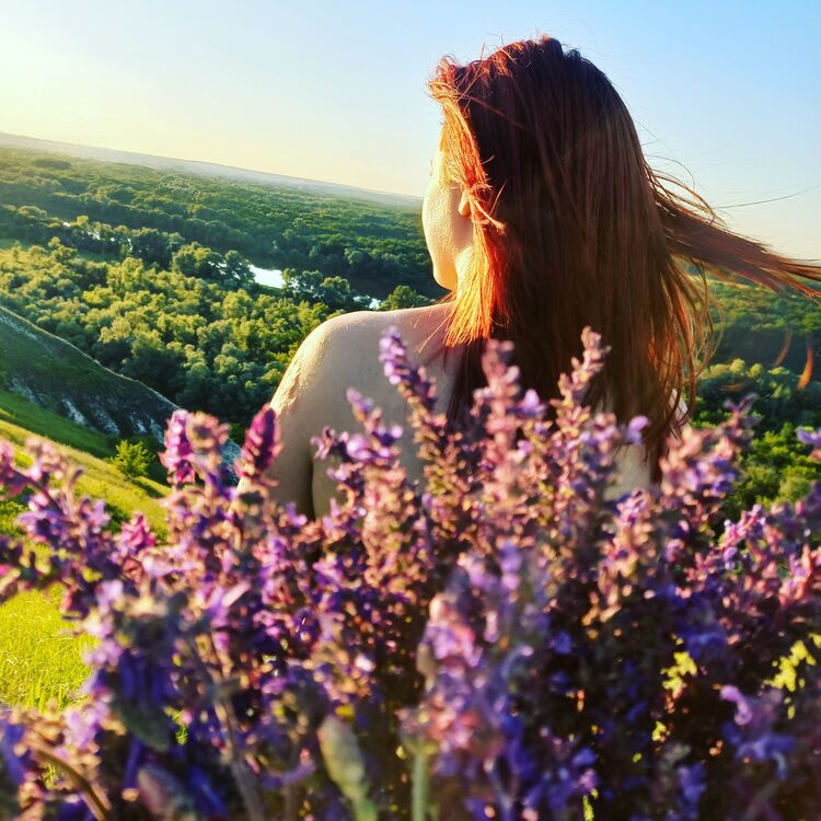 ���������� �������, ���� ������� ��������, 23 ����, ������������ ��� ����� � ���������, c�������� ���������