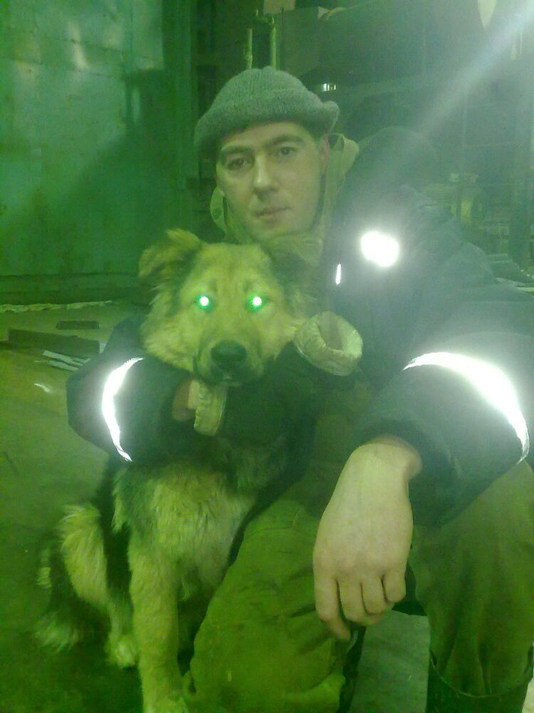 ���������� ��������, ���� ������� �������, 48 ���, ������������ ��� ������, ����� � ���������, c�������� ���������