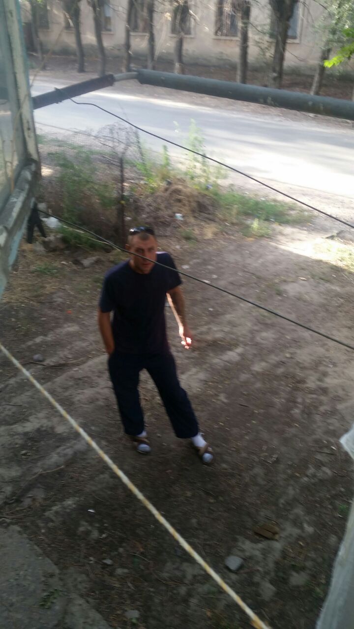 ���� 22618793 ������� ������, 43 ����, ���� ���������� � ��������