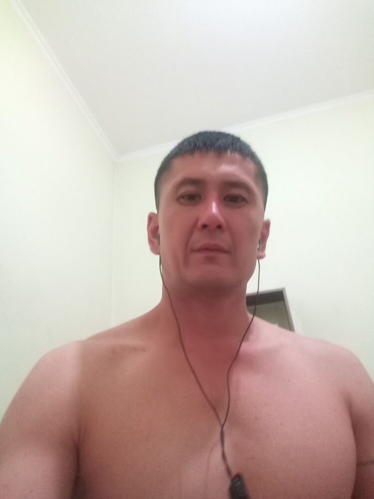  12337093  , 41 ,    