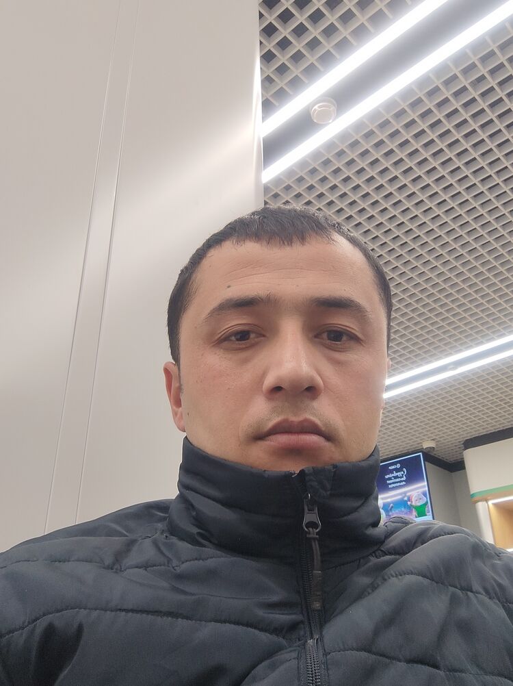  48530183  , 31 ,    