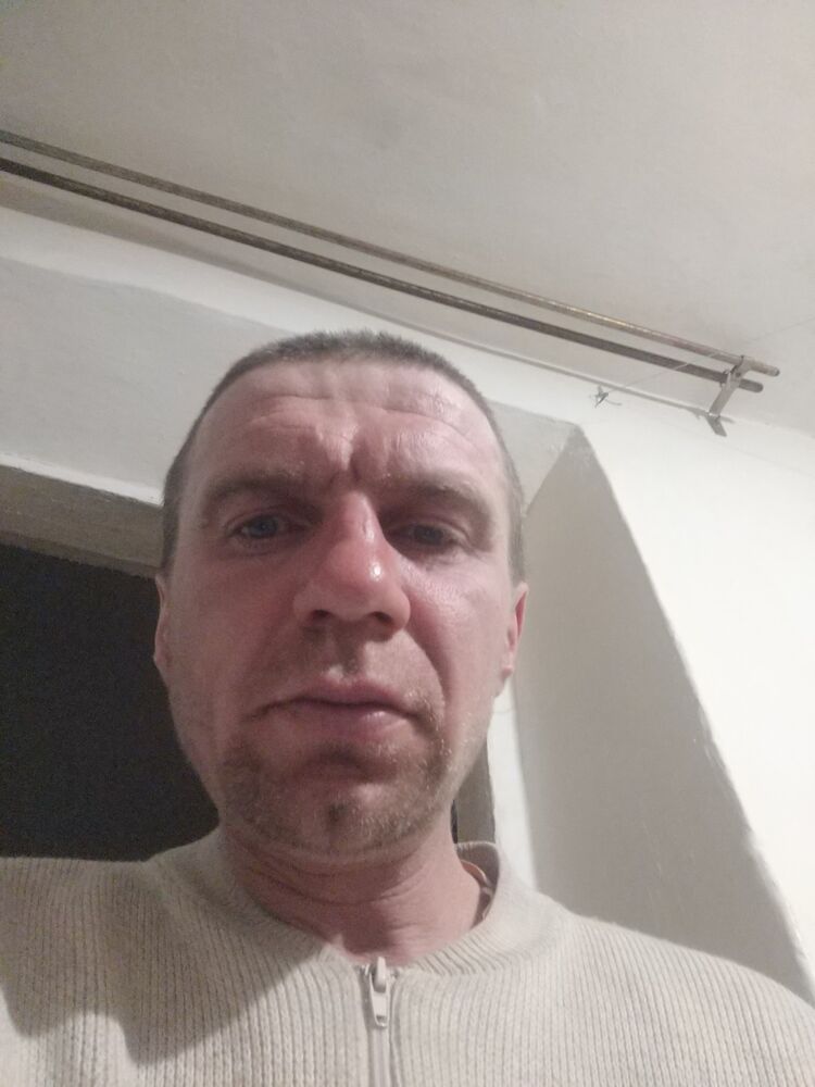  50172603  , 38 ,    