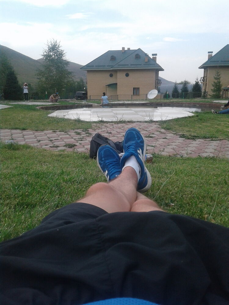  17778453  , 37 ,    