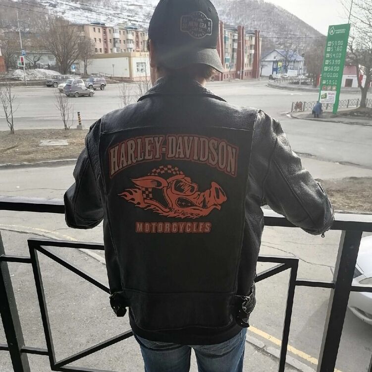  36008623  , 33 ,    -