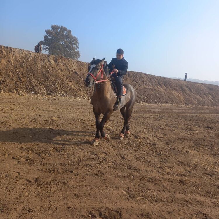 ���������� ������, ���� ������� �������, 33 ����, ������������ ��� ������, ����� � ���������, c�������� ���������, ���������