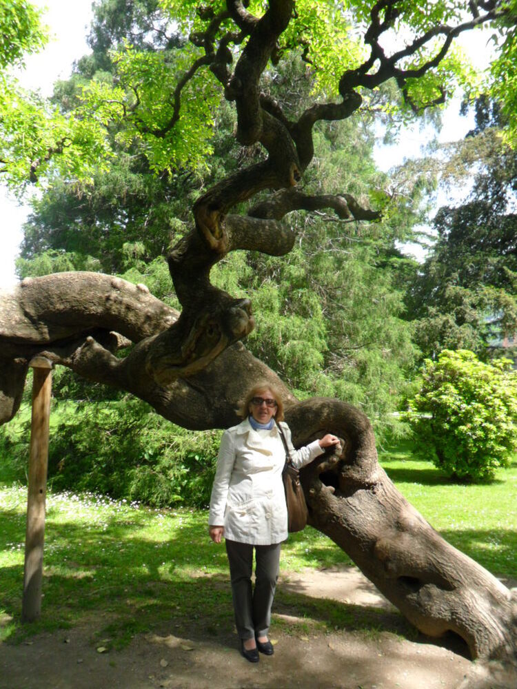  ,   Anna, 65 ,   ,   , c 