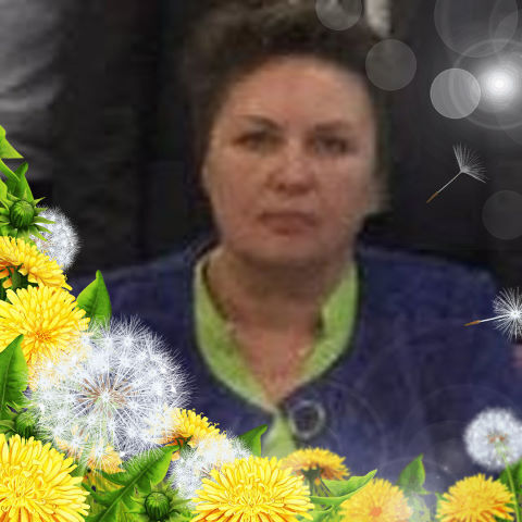 ���� 24876933 ������� ���������, 69 ���, ���� ���������� � ������������