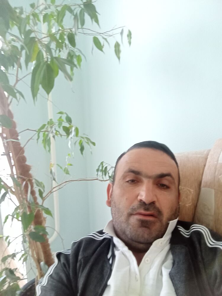  44642503  , 44 ,    