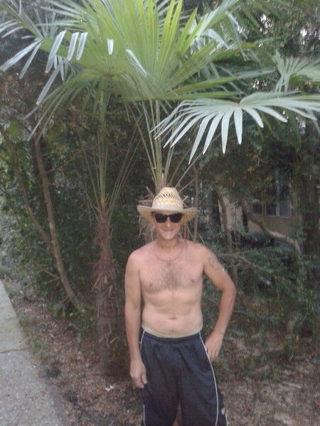 ���� 11804313 ������� ������, 51 ���, ���� ���������� � �����