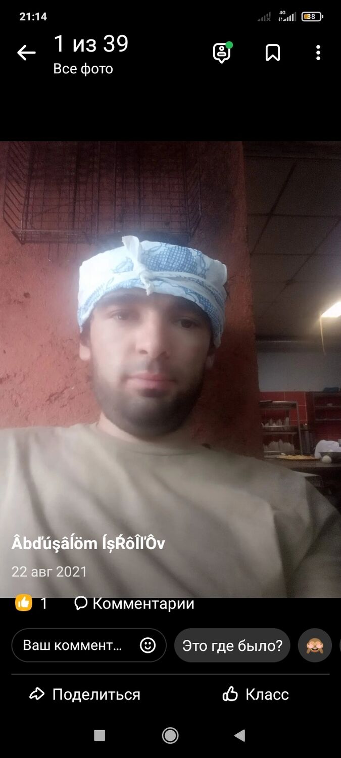  -,   Salom, 31 ,   ,   