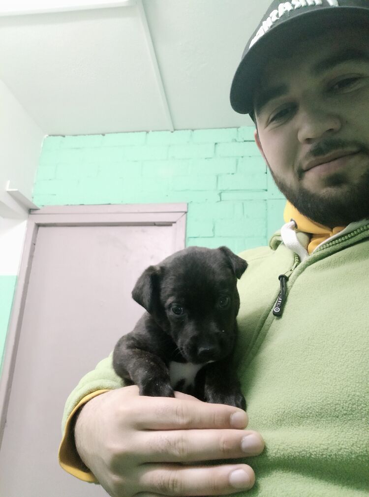 ���������� ������������, ���� ������� �����, 30 ���, ������������ ��� ������, ����� � ���������